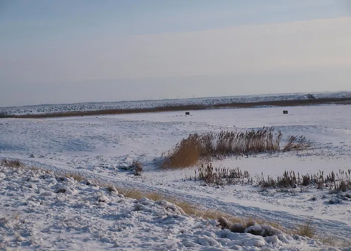 Gulirisvej Havneby Romo Apartmán *