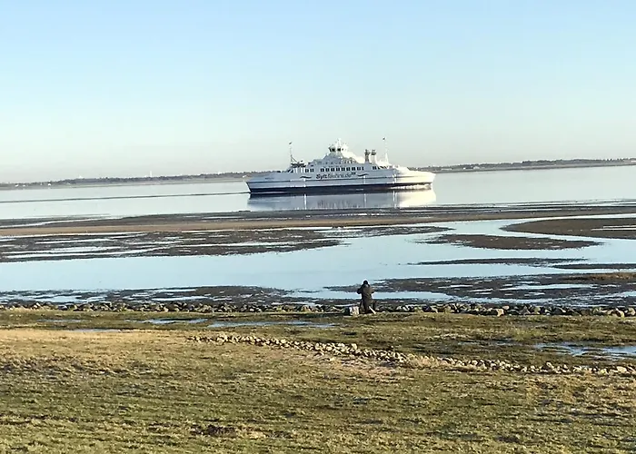 Gulirisvej Havneby Romo